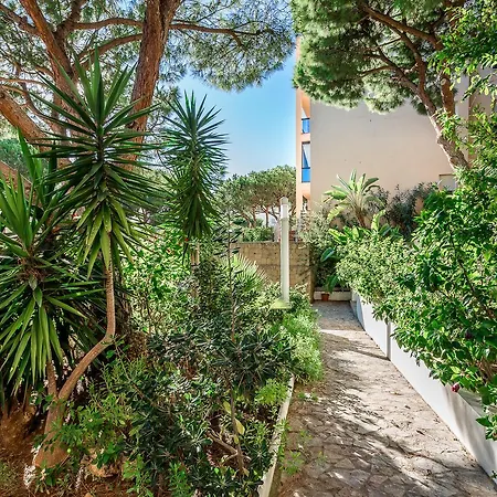 Elviria Front Marbella